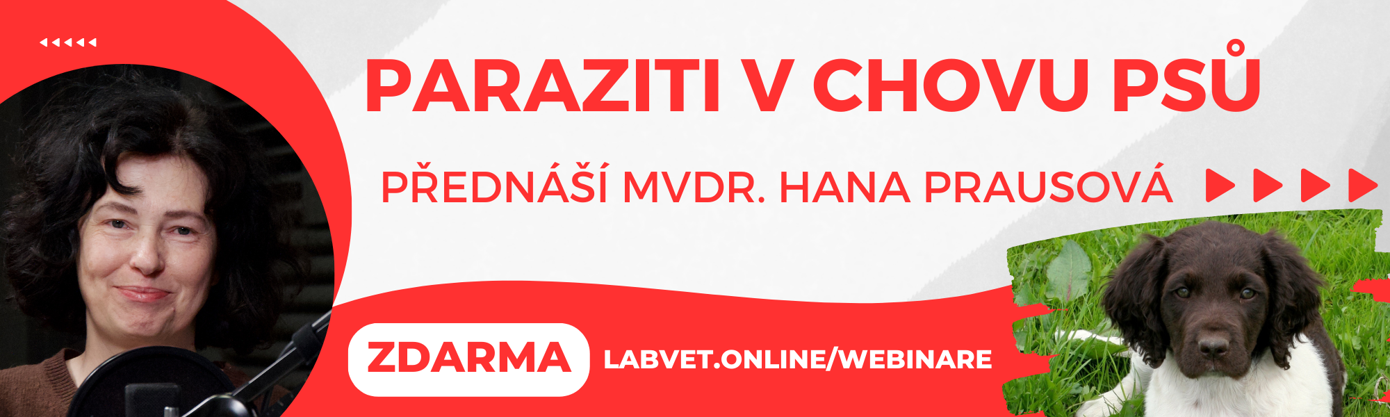 Webinář Labvet: Paraziti v chovu psů