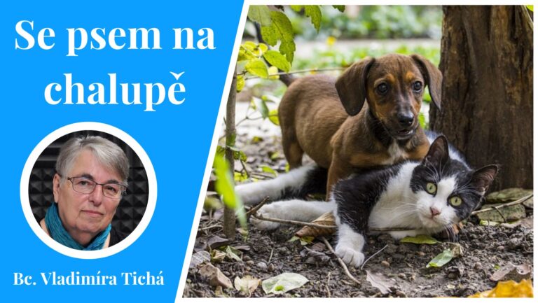 dovolená se psem nebo kočkou ns chalupě