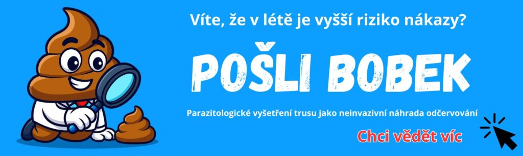 pošli bobek v létě