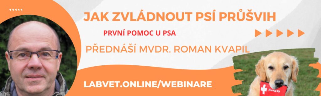 jak poskytnou psovi první pomoc