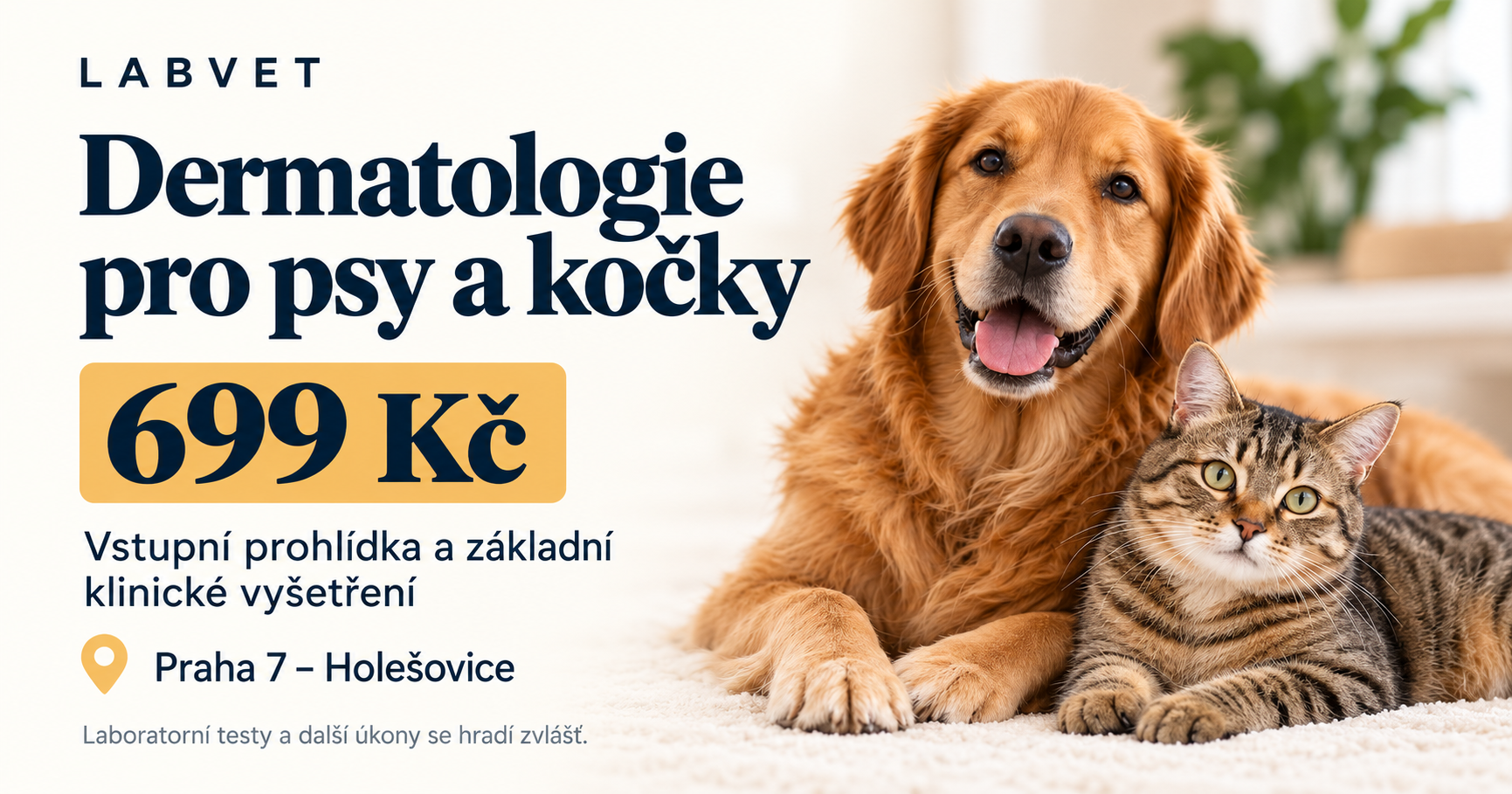 Labvet – dermatologie pro psy a kočky, vstupní prohlídka a základní klinické vyšetření za 699 Kč v Praze 7 – Holešovicích.